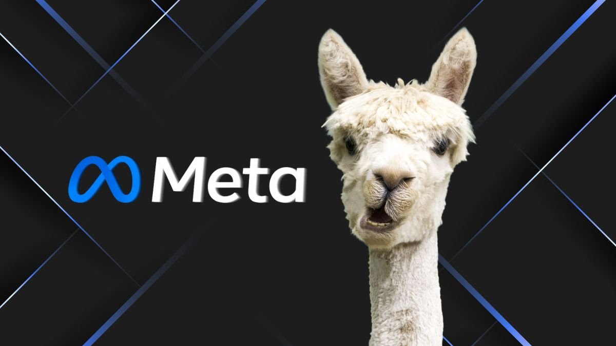 Meta Llama